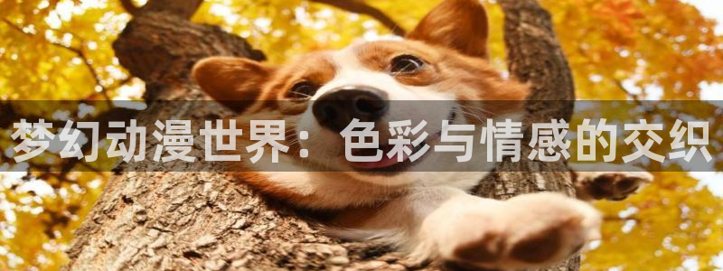 好看动漫里番