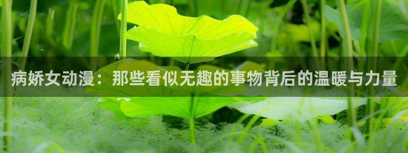 里番动漫在线网