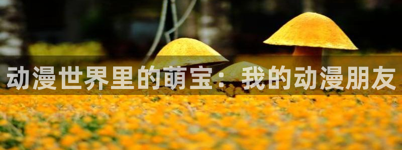 里番动漫免费在线观看