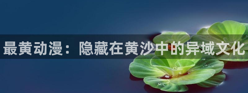 里番 动漫 在线