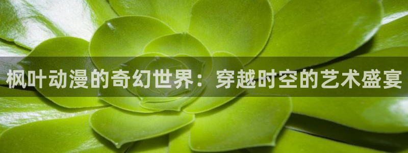 里番免费