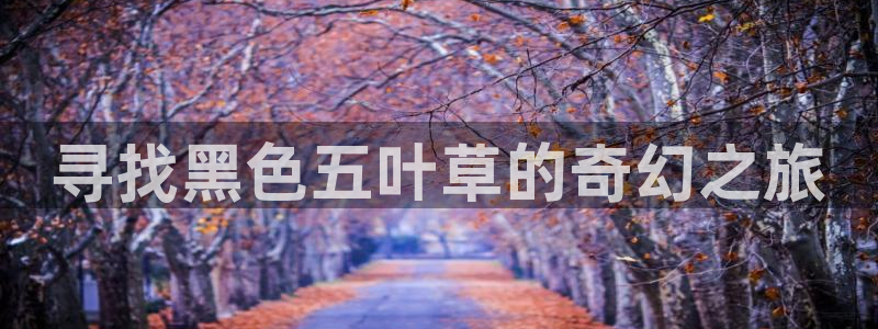 旧里番动漫在线