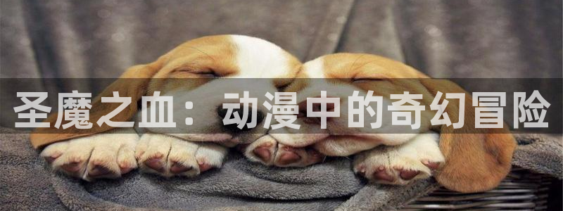剧情好的里番动漫