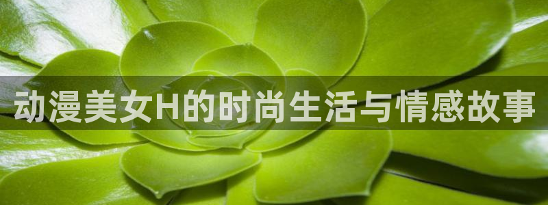 里番动漫网站推荐