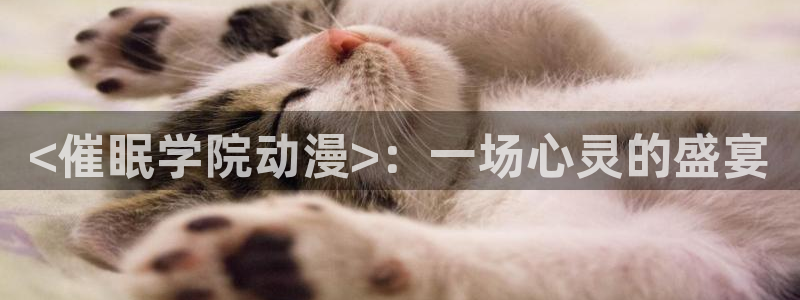 动漫里番合集