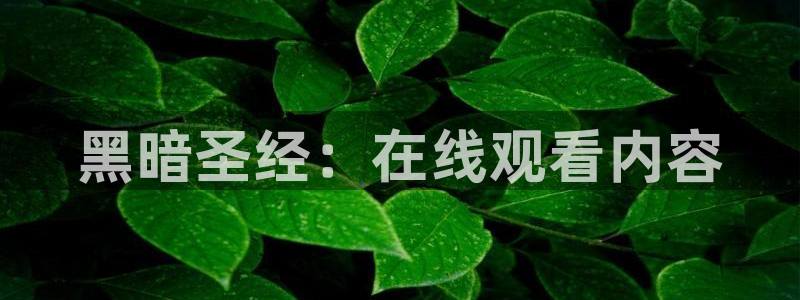 里番最新