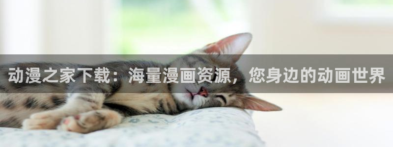 里番动漫岛