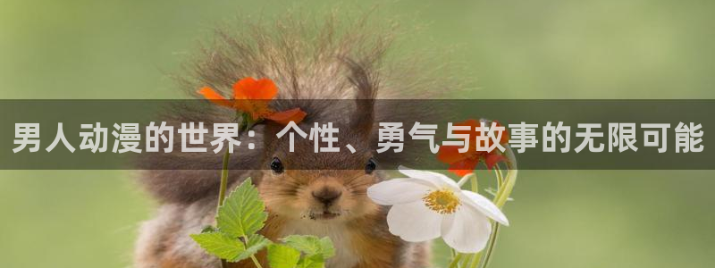 里番 动画