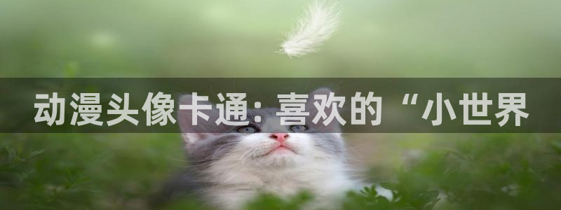 好看动漫网里番