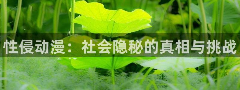 3d里番动漫网