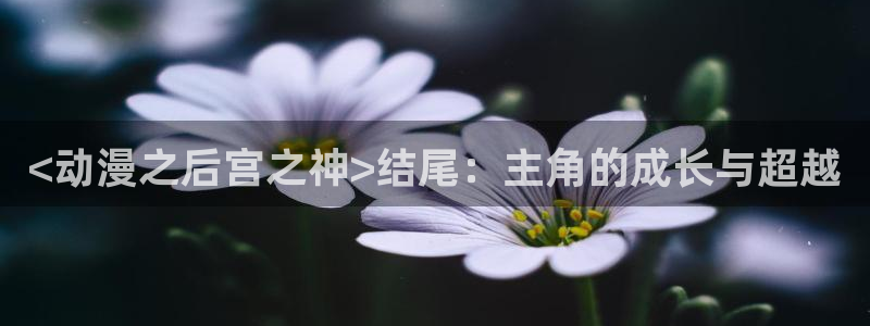 里番动漫最新