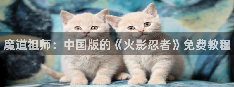 魅魔里番动漫