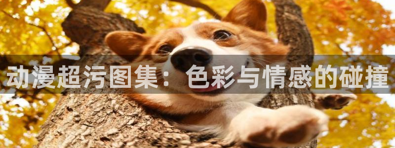 里番acg漫画网站