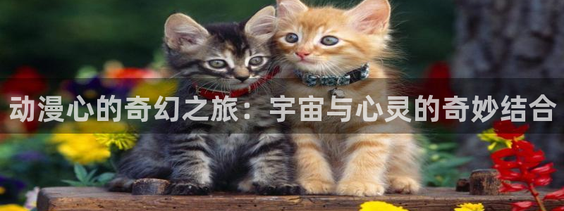 漫画acg里番