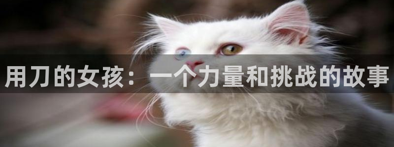 动漫里番资源
