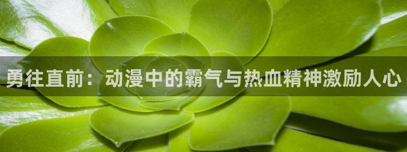母子里番动漫
