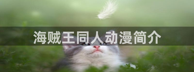 里番里番漫画：海贼王同人动漫简介