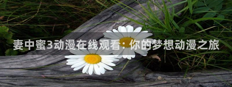里番推荐：妻中蜜3动漫在线观看: 你的梦想动漫之旅