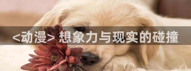 有什么好看的动漫里番：<动漫> 想象力与现实的碰撞
