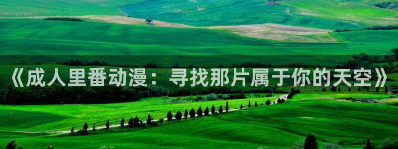 在线里番动画：《成人里番动漫：寻找那片属于你的天空》